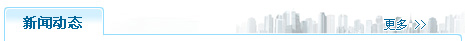 新闻动态
