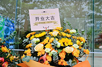 祝贺凯旋国际、文华花园、香港街三家新店齐齐开业
