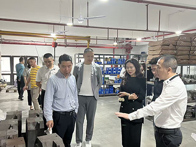 市领导来厂指导工作