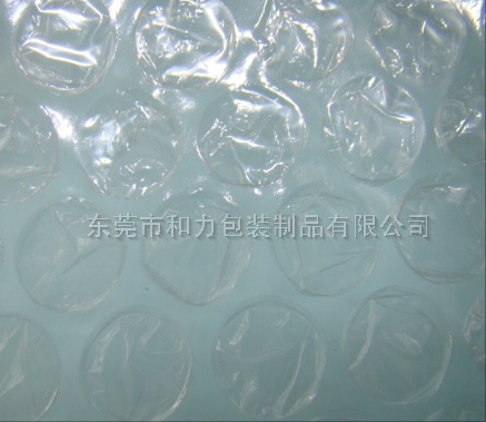 东莞市和力包装制品有限公司