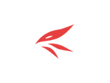 悦目光学