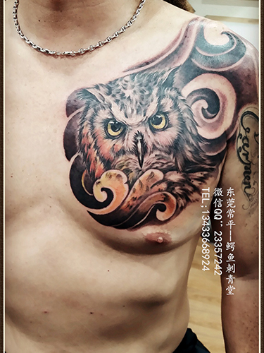 胸部猫头鹰