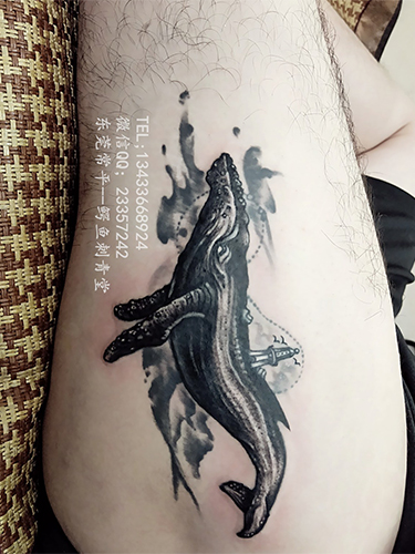 常平刺青-鲲