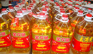 东莞金龙油批发