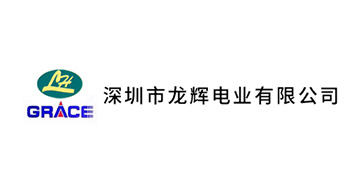 深圳市龙辉电业有限公司
