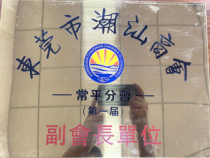 东莞市潮汕高会