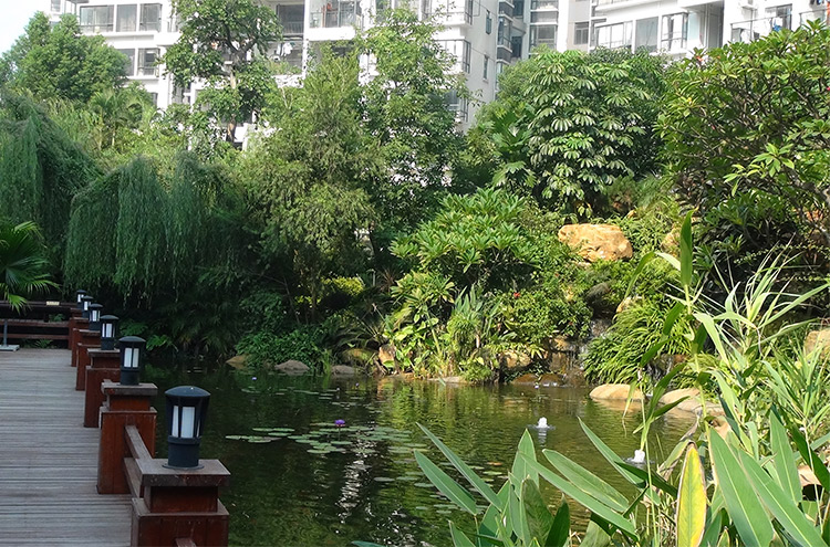 了解一下園林景觀工程維護(hù)效果如何提高呢？