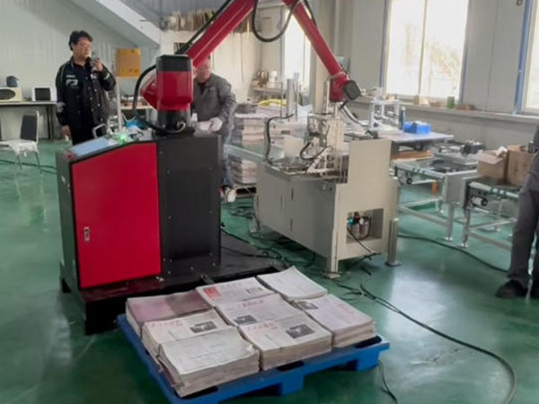 散页码垛机 TF1930A 30kg 六轴轻型机器人