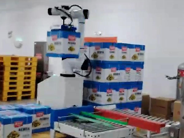 纸箱吸盘码垛机 TF1930X  30kg 六轴轻型机器人