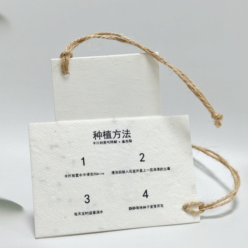 种子纸吊牌定制｜可发芽环保吊牌｜恒知包装