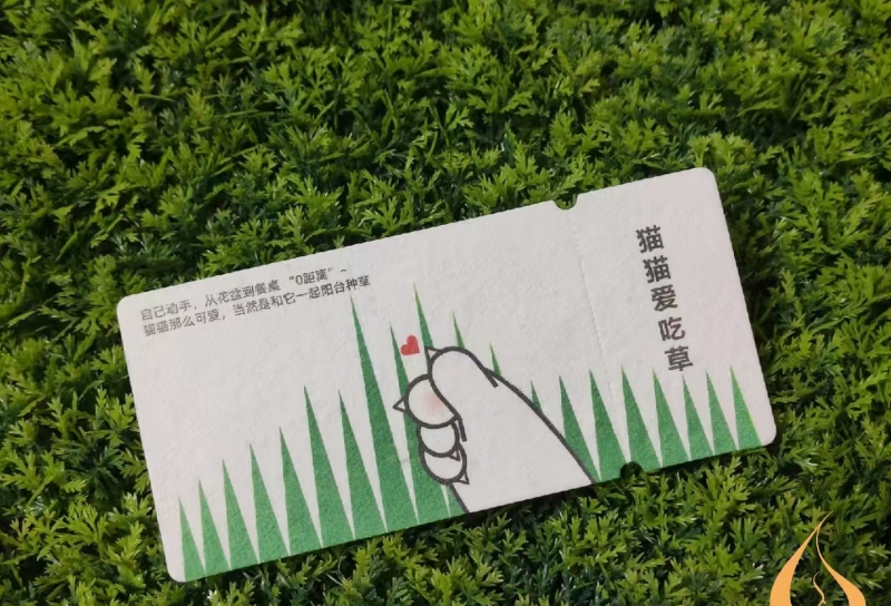 猫草种子纸卡片