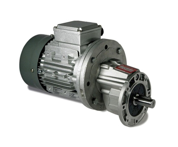 哪些因素會影響變頻電機使用的價格？