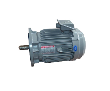 風(fēng)能偏航電機