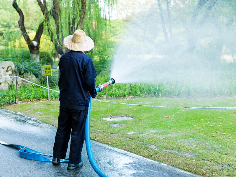 绿化养护服务案例