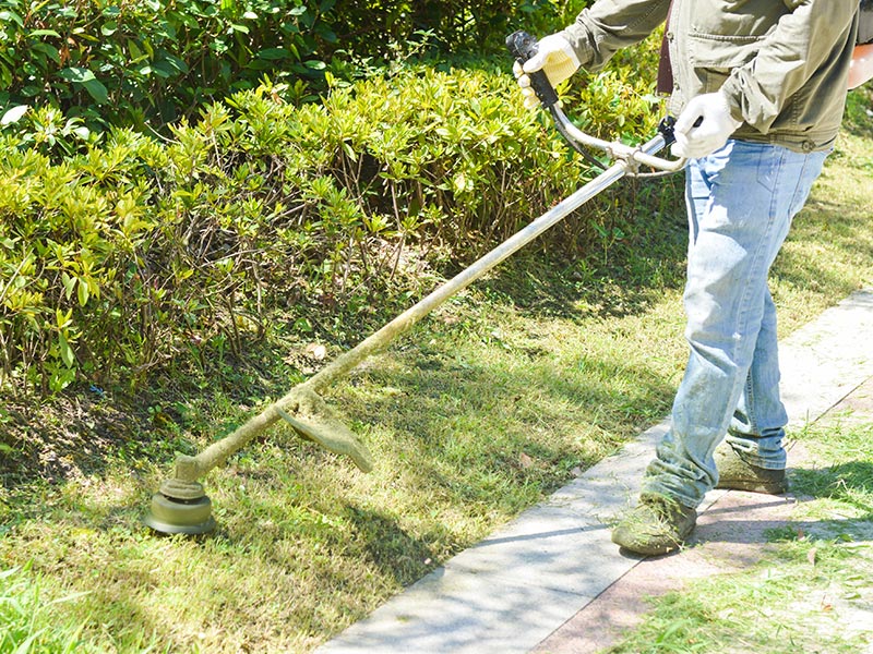 园林绿化工程案例