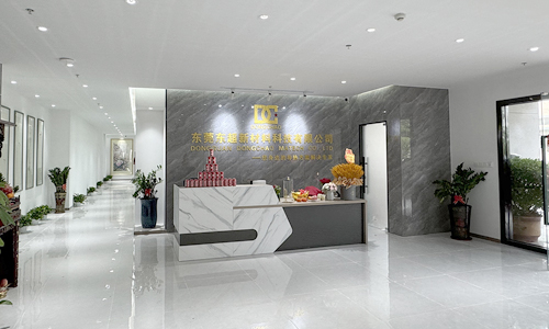 东莞东超新材料科技有限公司