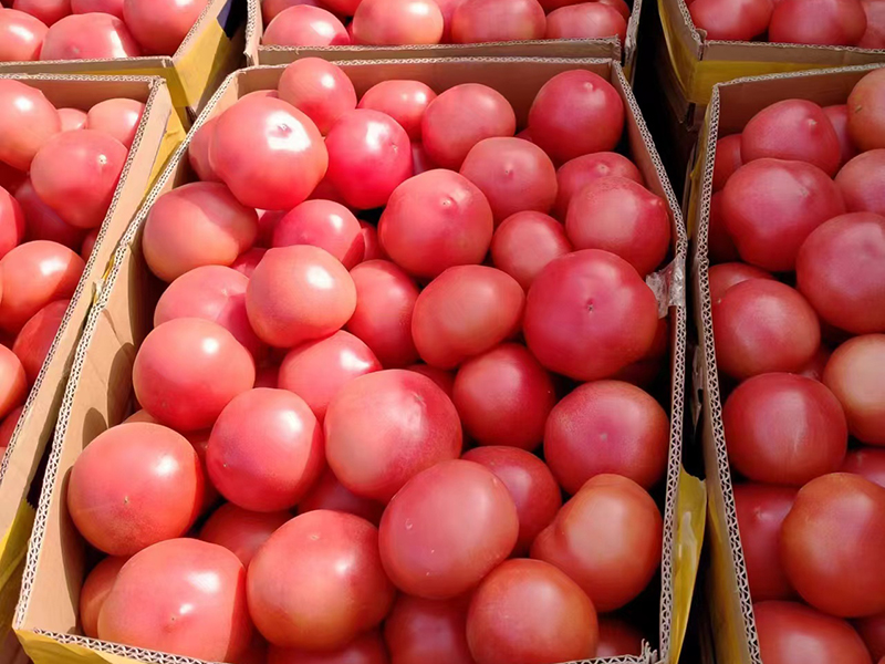 积极落实校园陪餐制度，百善鲜筑牢校园食品安全防线