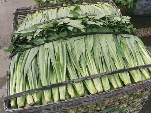 为什么选择百善鲜？——一家膳食服务企业的底气所在
