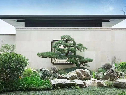 如何判斷庭院廣東綠化養護植物是否需要施肥？的圖片