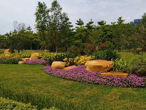 綠化廣東園林設(shè)計植物配置有哪些技巧？的圖片