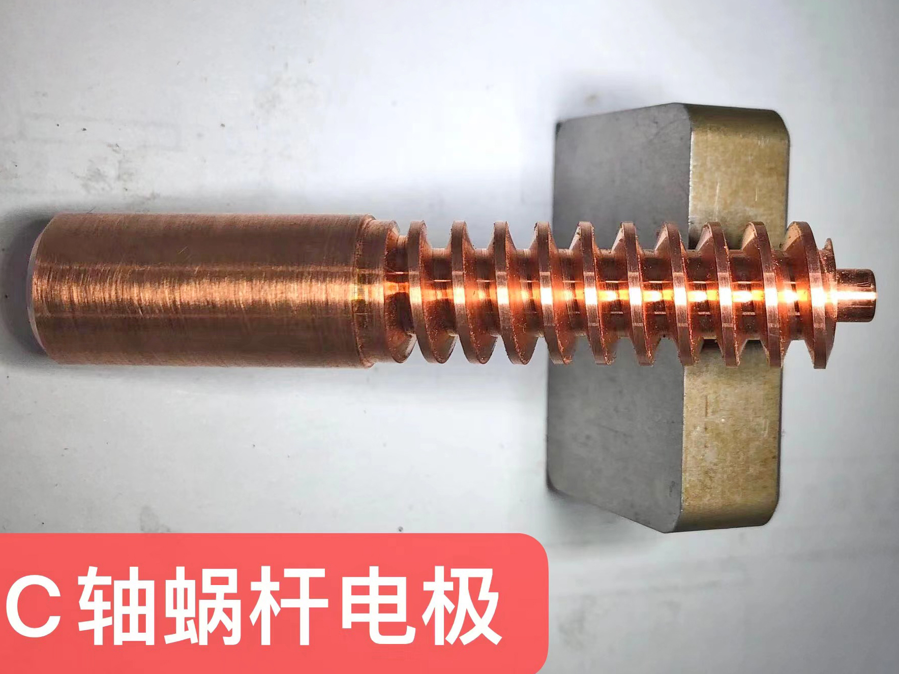 C轴蜗杆电极