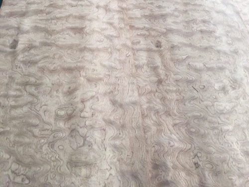 白影木皮浅述木皮能否跟据时代需求而改变