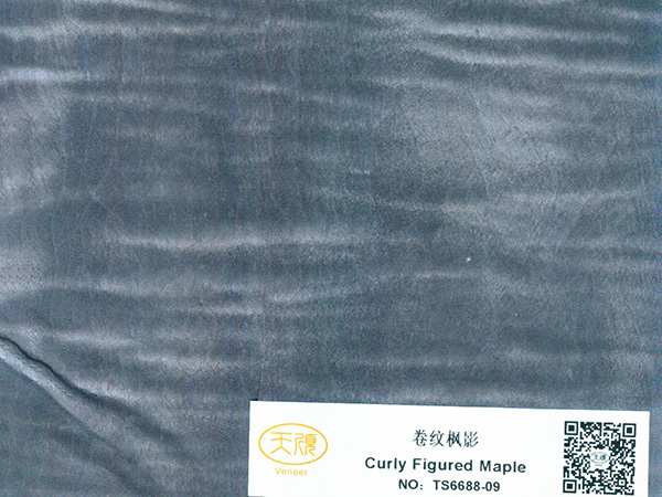 卷纹枫影