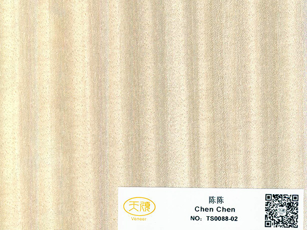 陈陈