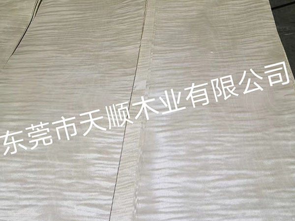 卷纹枫影