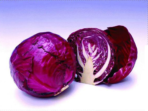 东莞蔬菜配送存在哪些问题及改进措施？