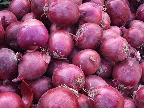 问：关于东莞蔬菜配送中心需要考虑哪些方面呢？