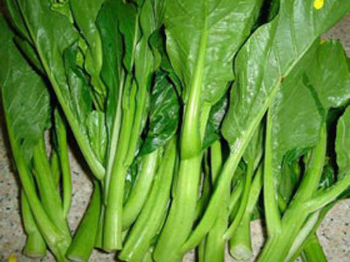 東莞蔬菜批發(fā)如何減少運輸時間和損耗？