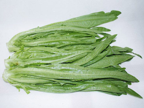 东莞蔬菜批发