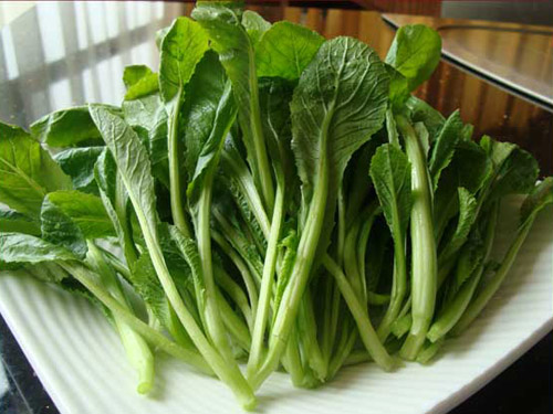 东莞蔬菜批发过程中如何减少蔬菜损坏控制？