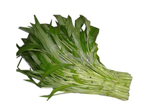 东莞蔬菜配送