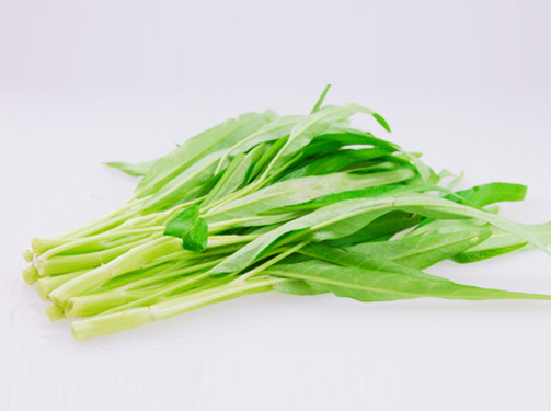 东莞蔬菜配送