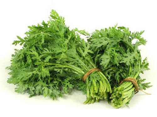 东莞蔬菜批发