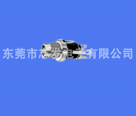 DS-048
