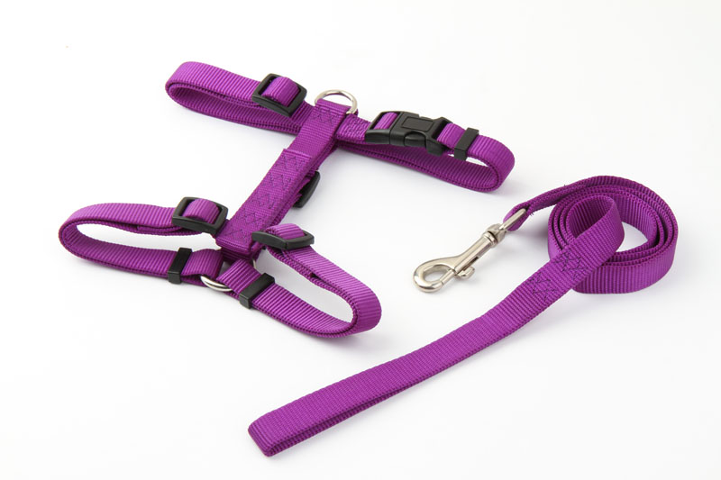 亚博 尼龙H型胸背带配拉带