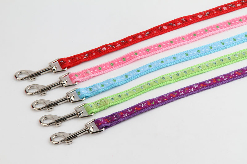 亚博 时尚缎带调整颈圈+拉带