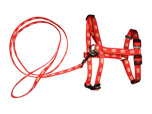 亚博 宠物尼龙胸背带