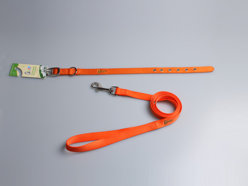 亚博 宠物尼龙颈圈+拉带  橙色