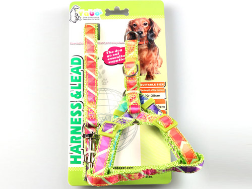 亚博 时尚缎带胸背带+拉带