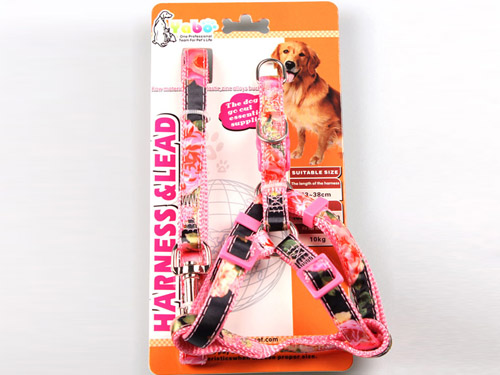 亚博 时尚缎带胸背带+拉带