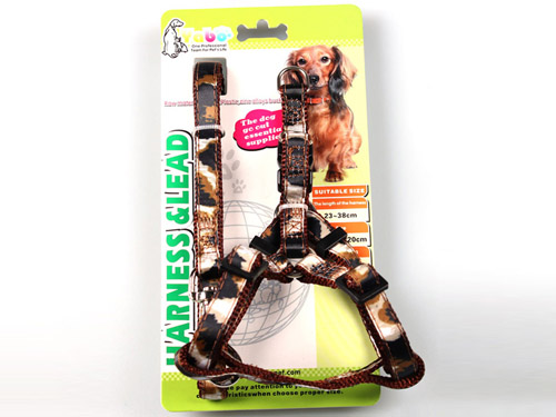 亚博 时尚缎带胸背带+拉带