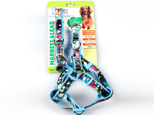 亚博 时尚缎带胸背带+拉带