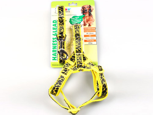 亚博 时尚缎带胸背带+拉带