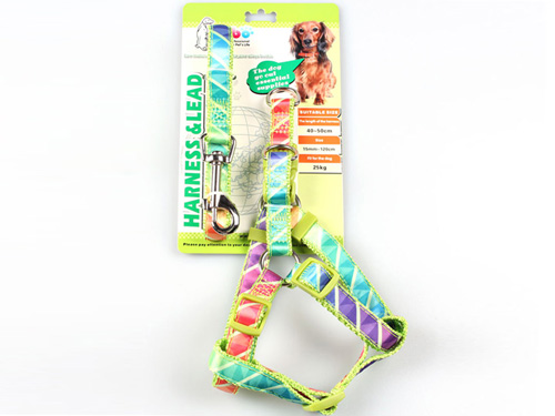 亚博 时尚缎带胸背带+拉带