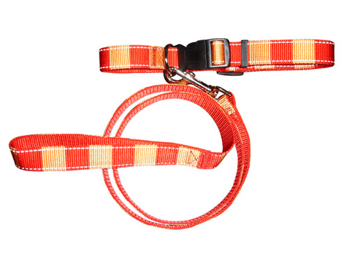 亚博 双色尼龙颈圈+拉带