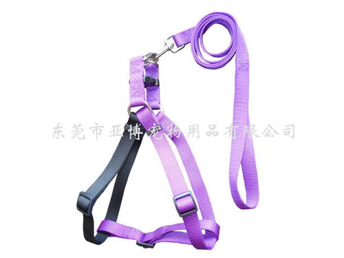 亚博 尼龙缎带拉胸 双色 紫